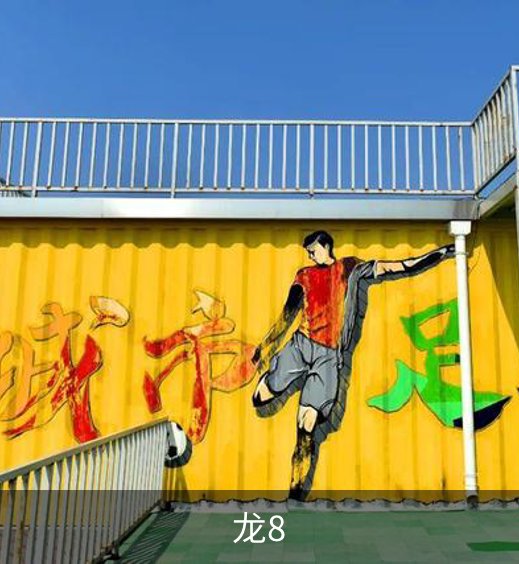 关于龙8